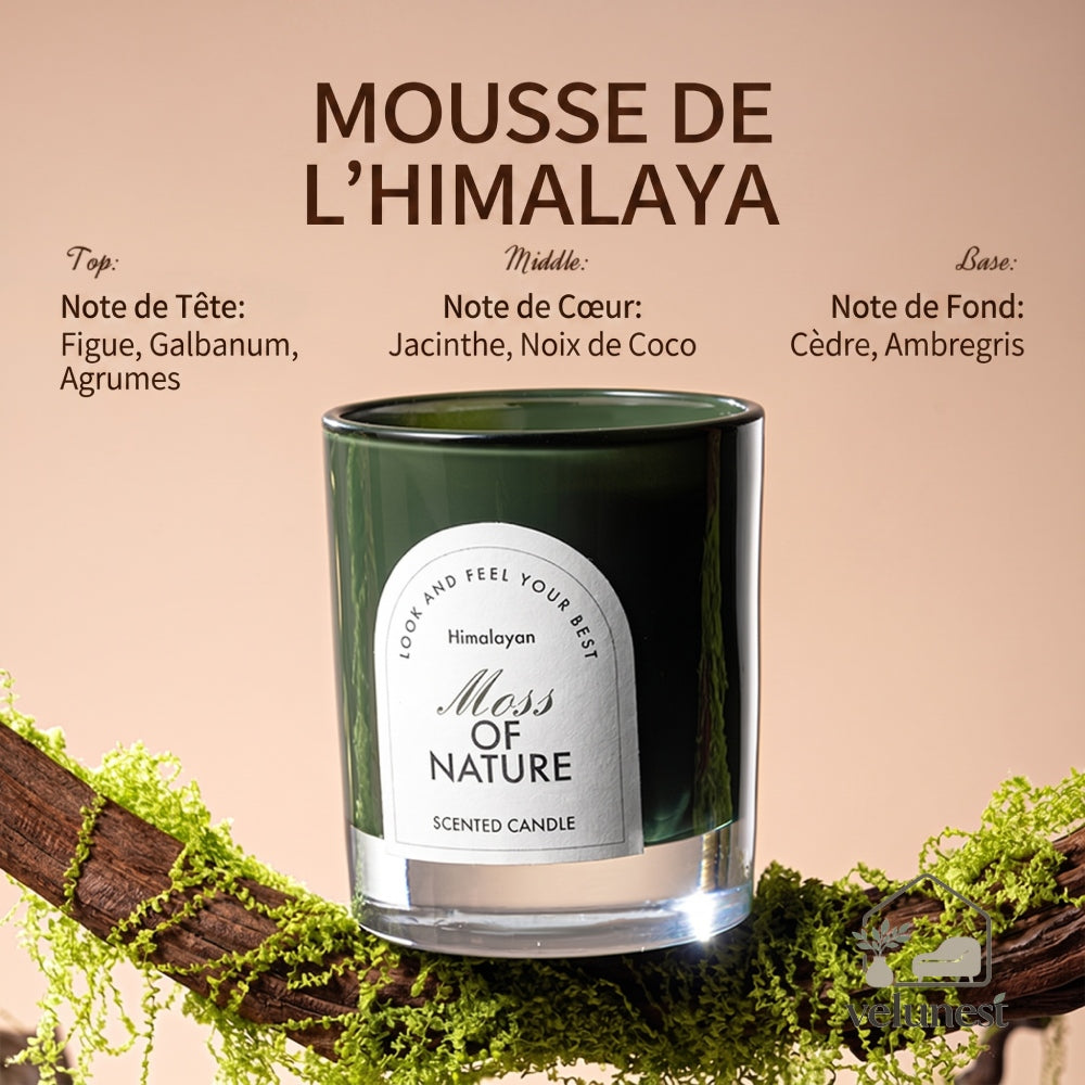 Bougie Parfumée "Symphonie de la Nature" avec Mèche en Bois – Collection Velunest