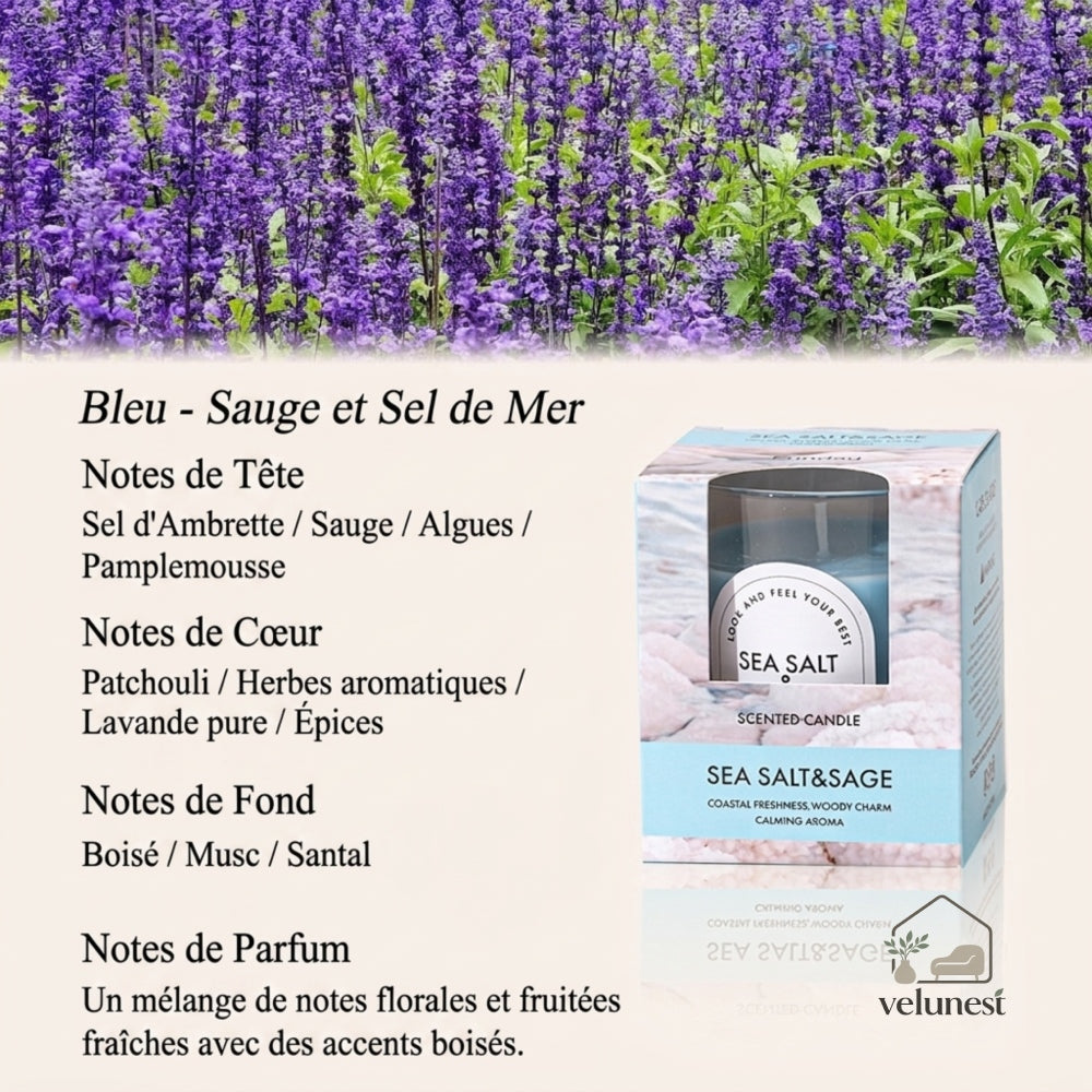 Bougie Parfumée en Verre Transparent – Collection "Couleurs & Senteurs" Velunest