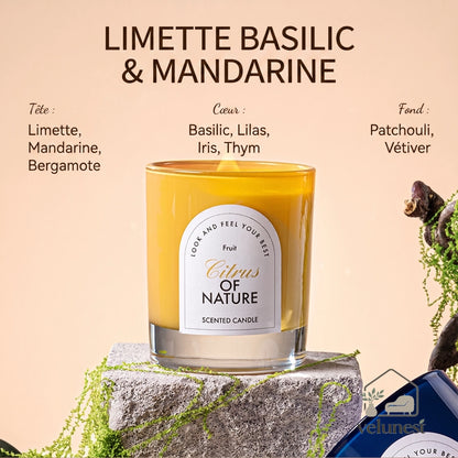 Bougie Parfumée "Symphonie de la Nature" avec Mèche en Bois – Collection Velunest