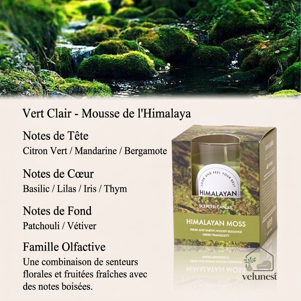 Bougie Parfumée en Verre Transparent – Collection "Couleurs & Senteurs" Velunest
