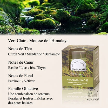 Bougie Parfumée en Verre Transparent – Collection "Couleurs & Senteurs" Velunest