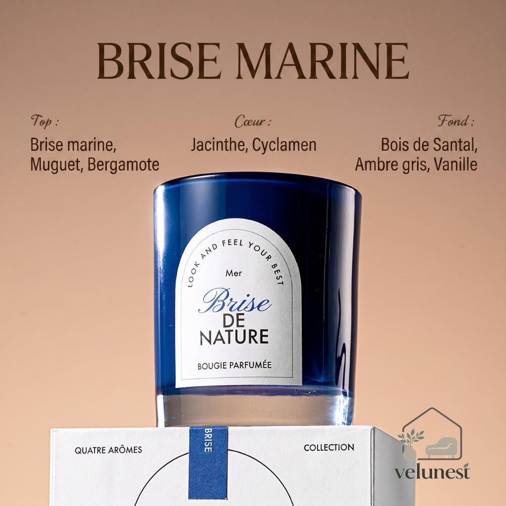 Bougie Parfumée "Symphonie de la Nature" avec Mèche en Bois – Collection Velunest