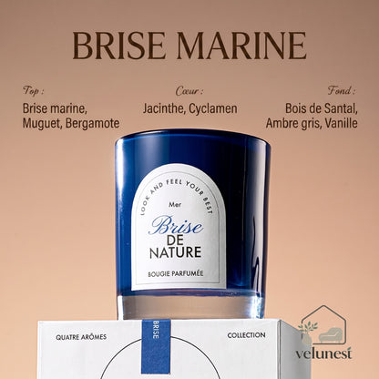 Bougie Parfumée "Symphonie de la Nature" avec Mèche en Bois – Collection Velunest