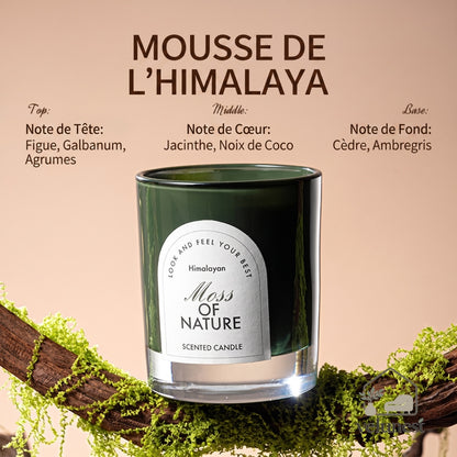 Bougie Parfumée "Symphonie de la Nature" avec Mèche en Bois – Collection Velunest