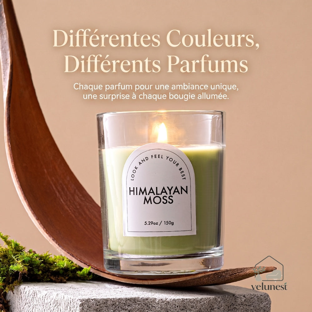 Bougie Parfumée en Verre Transparent – Collection "Couleurs & Senteurs" Velunest