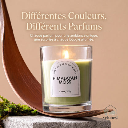 Bougie Parfumée en Verre Transparent – Collection "Couleurs & Senteurs" Velunest